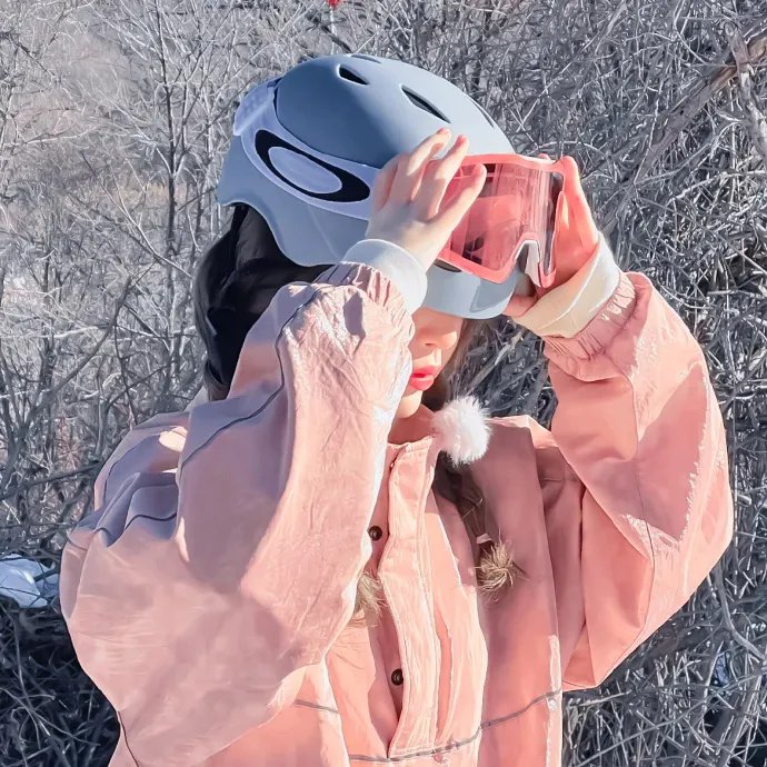 雪地情鸳 海报