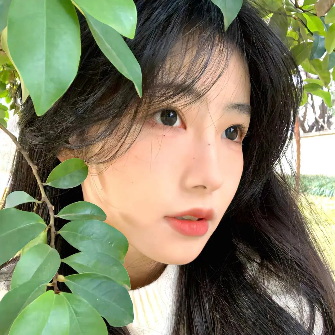 白日梦 海报
